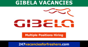 Gibela Vacancies