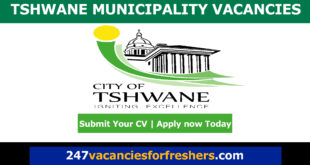 Tshwane Municipality Vacancies